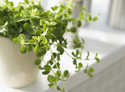 立川市の整形外科・形成外科・皮膚科・リハビリテーション科