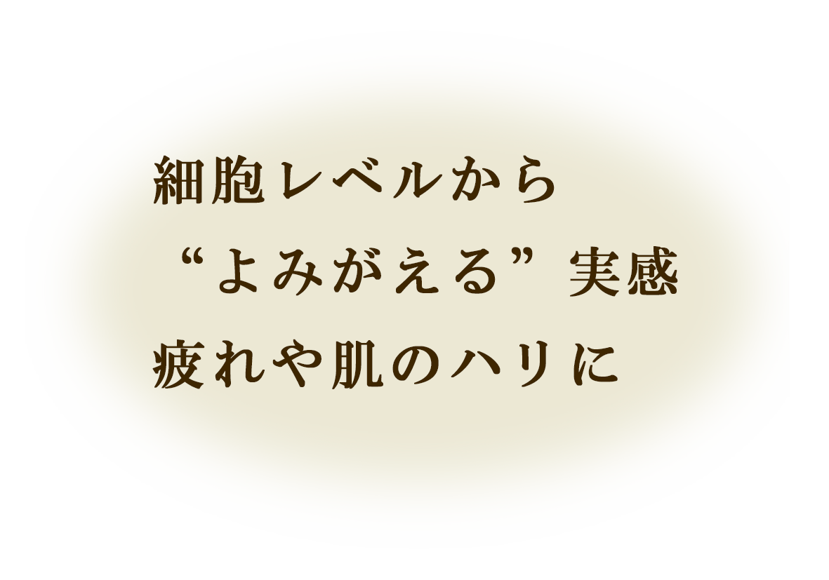 立川市　プラセンタ注射